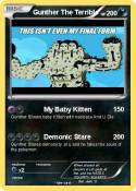 Gunther The Ter