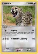 Cheetaro
