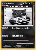 chat coupable