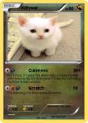 Kittywar