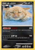 mad cat