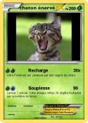 chaton énervé