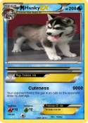 Husky