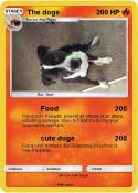 The doge