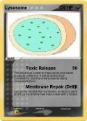 Lysosome