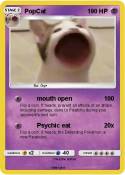 PopCat