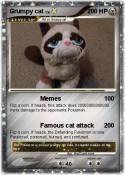 Grumpy cat