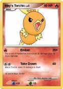 May's Torchic