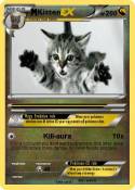 Kitten