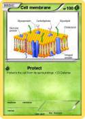 Cell membrane