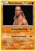 Shawn Michaels