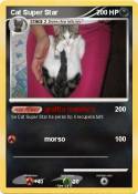 Cat Super Star