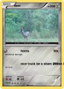 deer