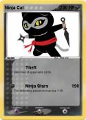 Ninja Cat