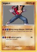 vegeta 4