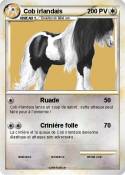 Cob irlandais