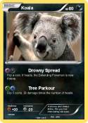 Koala