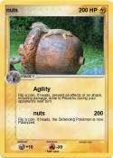 nuts