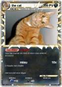 the cat
