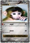 Owen