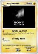 Sony buys WB