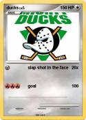 ducks