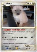 chaton