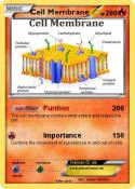 Cell Membrane