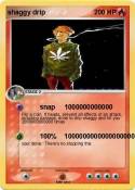 shaggy drip