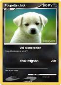 Poupette chiot