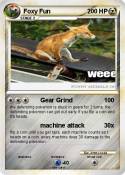 Foxy Fun