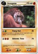 Orangutan