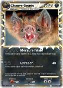 Chauve-Souris