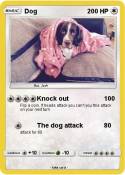 Dog