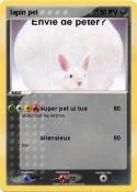 lapin pet