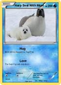 Harp Seal With