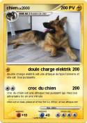 chien