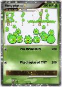 Many pigs