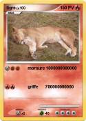 tigre