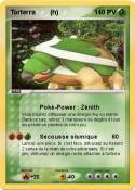 Torterra (h)