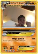FIGHT THE WORLD