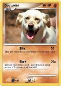 Dog