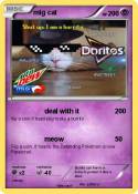 mlg cat