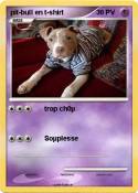 pit-bull en