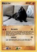 Black Cat