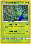 Big Feathers