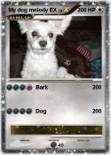 My dog melody