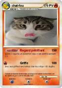 chat-fou
