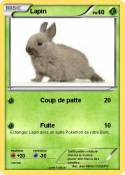 Lapin