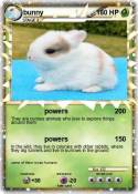 bunny